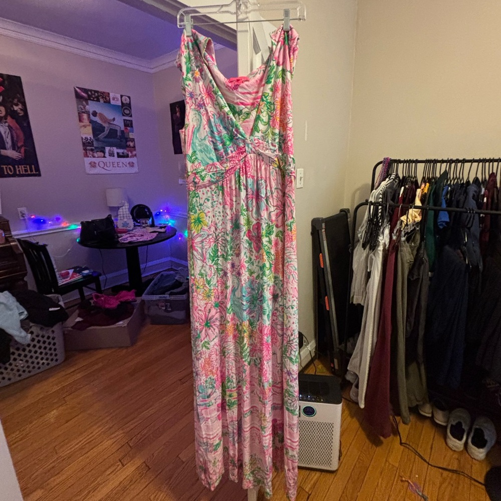 Lilly Pulitzer Pink and Green Floral Maxi Dress